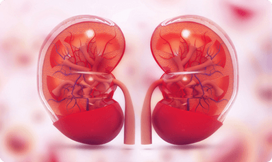 chroninc kidney disease