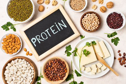protein the versatile nutrient