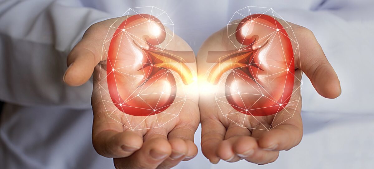 What is Kidney Failure? Is it treatable?