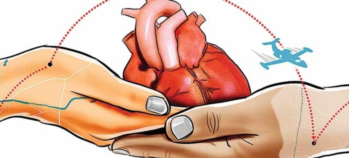 Heart Transplantation: Questions you always wanted to ask