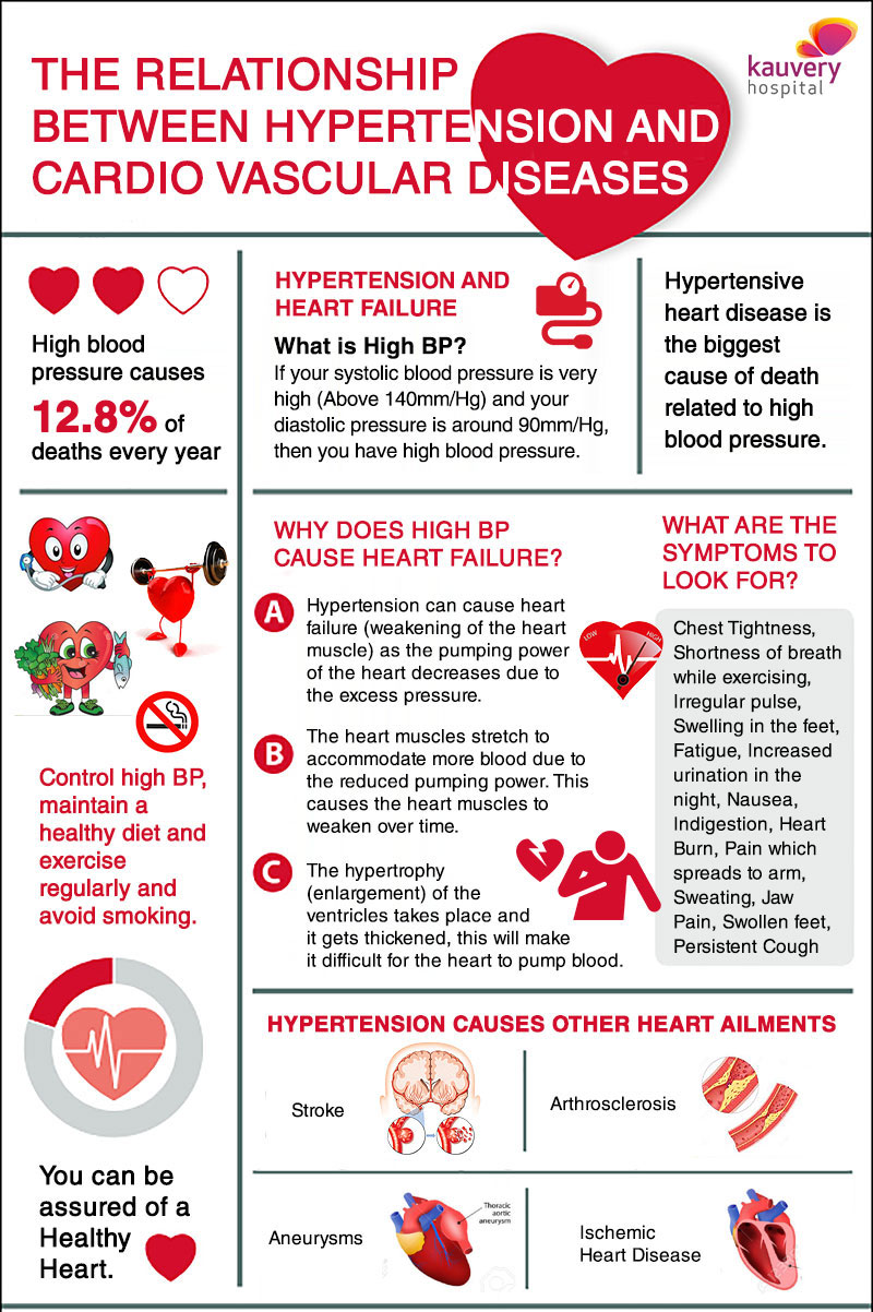 The Relationship Between Hypertension And Cardio Vascular Diseases 