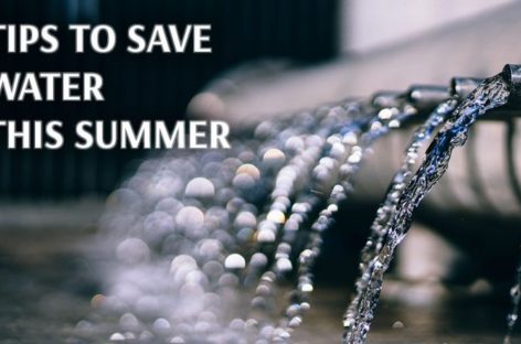 Tips to save water this summer