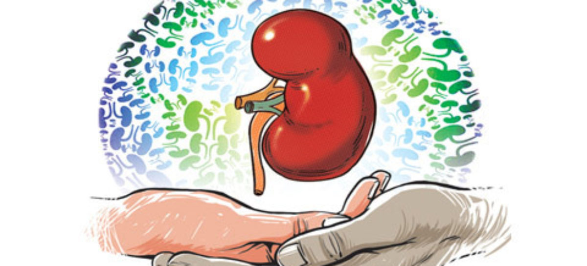 When do you need a renal transplant?