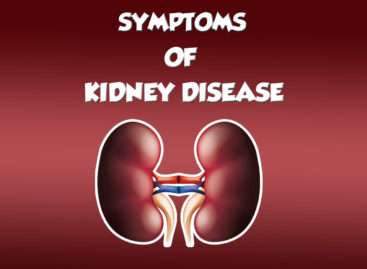 Kidney Disease – Symptoms to Watch