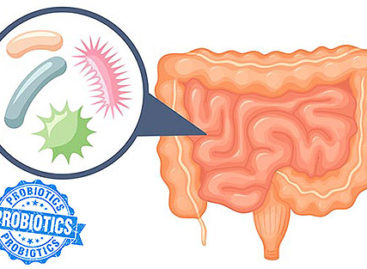 Understanding probiotics and their use