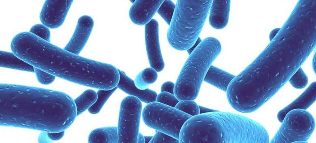 The role of Probiotics for a healthy life