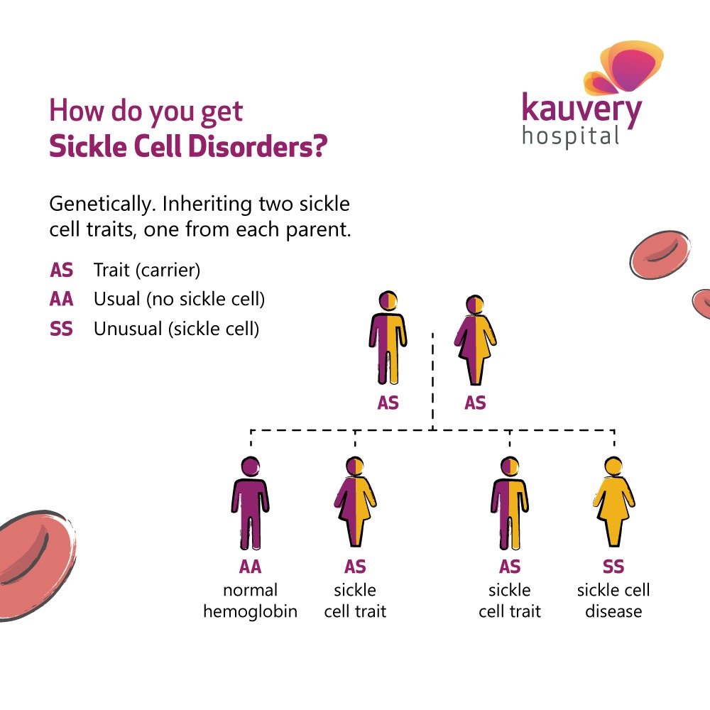 sickle cell disease case study answers