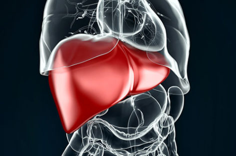 Liver Diseases – Causes, Symptoms, Diagnosis, and Treatment