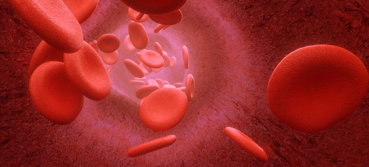 How do Venous and Arterial blood differ?