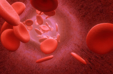 How do Venous and Arterial blood differ?