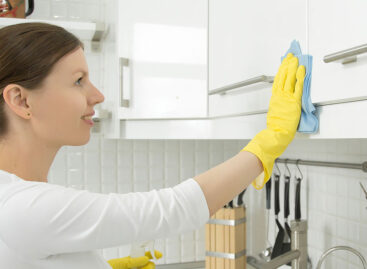 Maintaining sanitation and hygiene in the Kitchen
