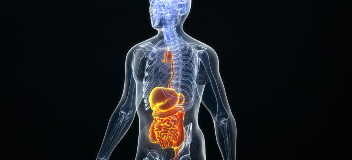 Different Types of Cancer which Affects the Digestive System