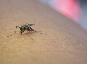 Debunking Myths about Dengue and its Treatment