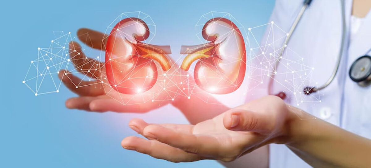 Implantable Bio Artificial Kidney, an innovation in Renal Treatment