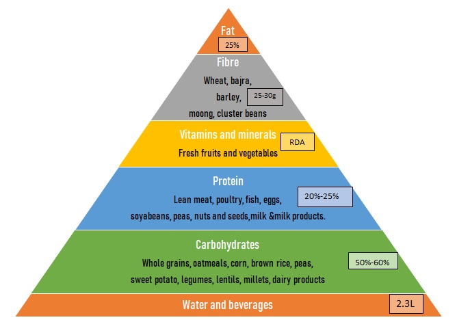 Nutrition During Pregnancy