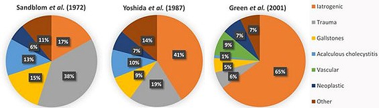 HEMOBILIA -CAUSES OVER THE YEARS