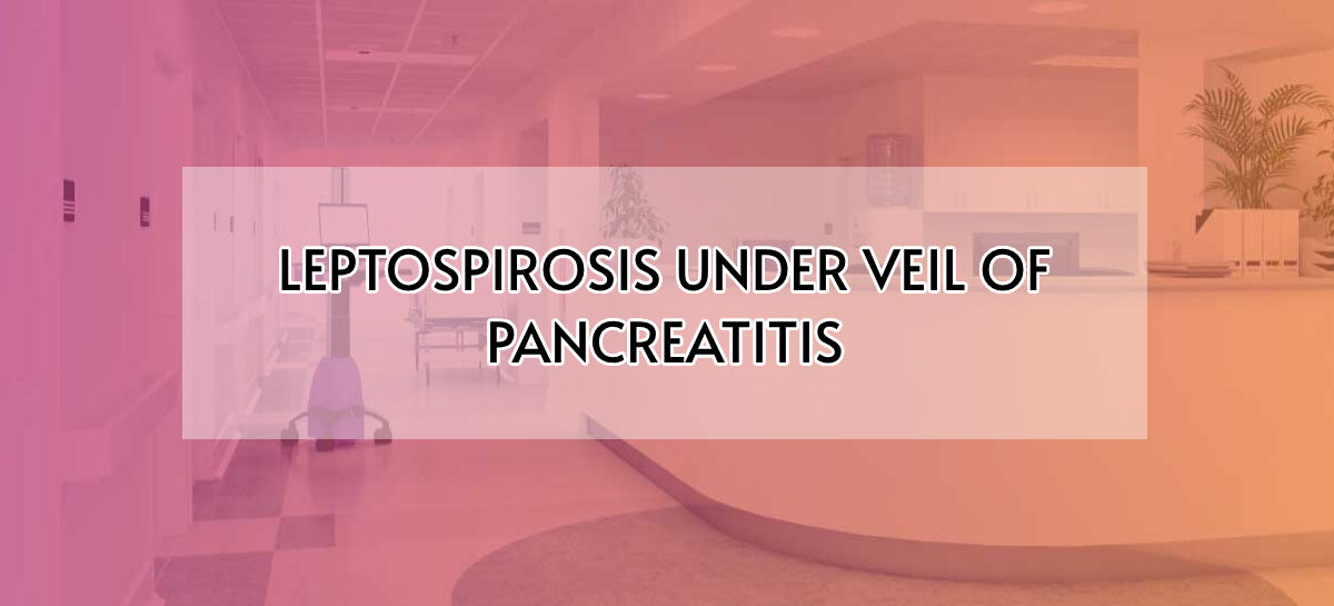 LEPTOSPIROSIS UNDER VEIL OF PANCREATITIS