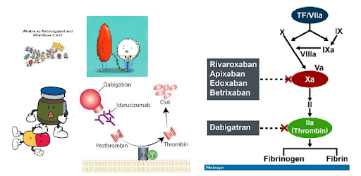 reversal-of-dabigatran-image1