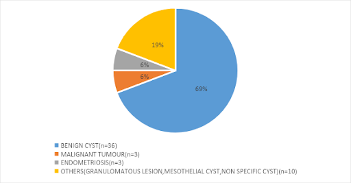 Indeterminate-Cyst-2