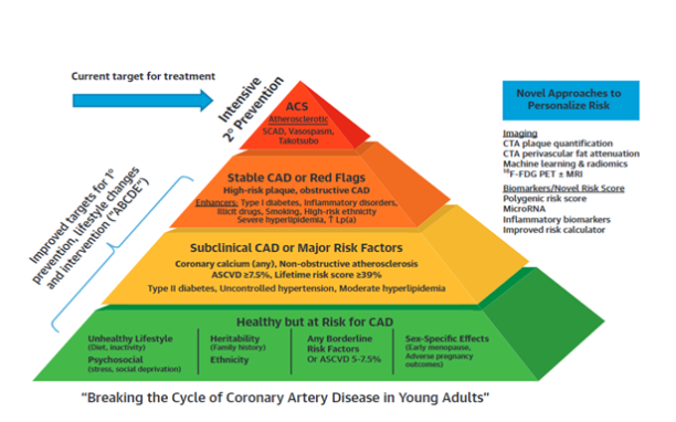 Young-ACS-Audit-13