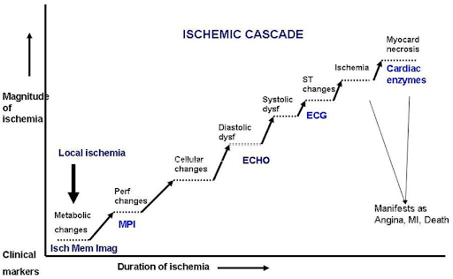 Cardiac-biomarkers-1