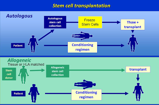 Graphical-Abstract