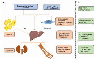 Euglycemic1