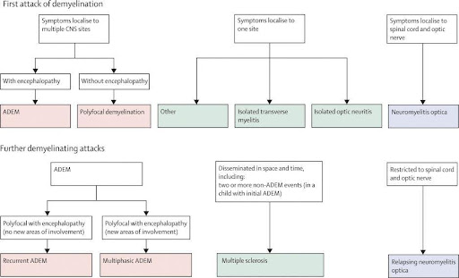 paediatric-occupational-1