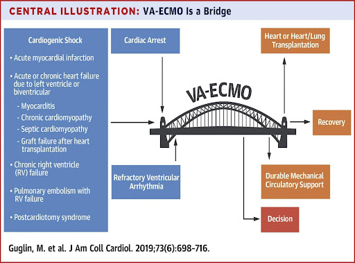 va-ecmo-bridge