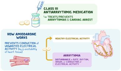 Mechanism-action