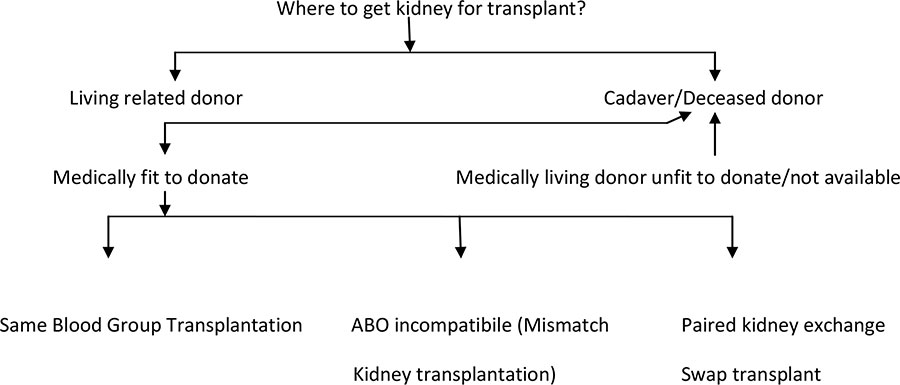 Where to get kidney for transplant?
