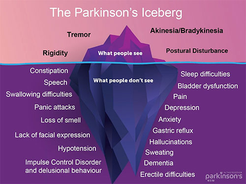 non-motor-symptoms-of-parkinsons-disease-the-elephant-in-the-room-3