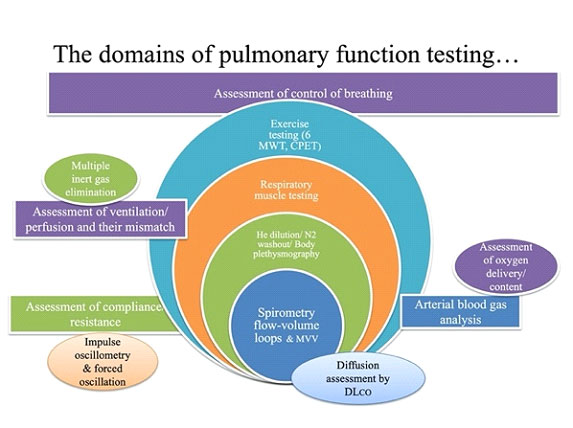 what-is-the-respiratory-function-in-health-and-how-do-we-test-it-3