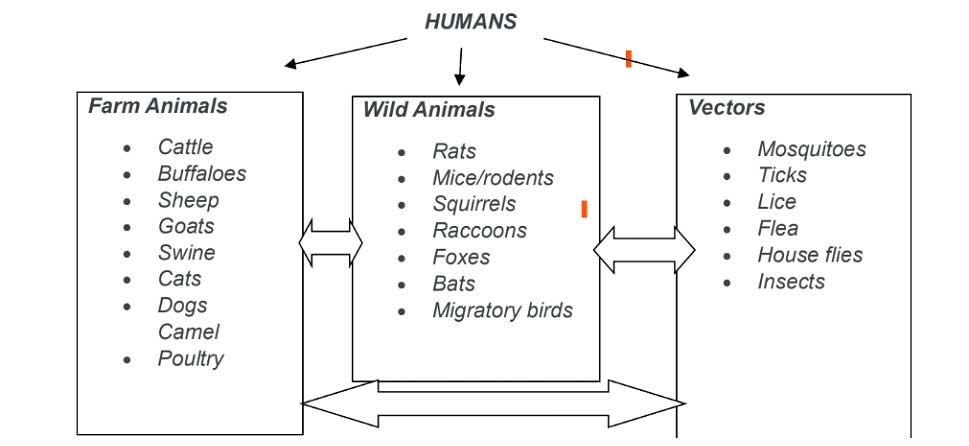 animals-humans-and-the-environment-together-we-are-one-3