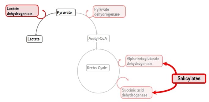 Salicylate-poisoning-1