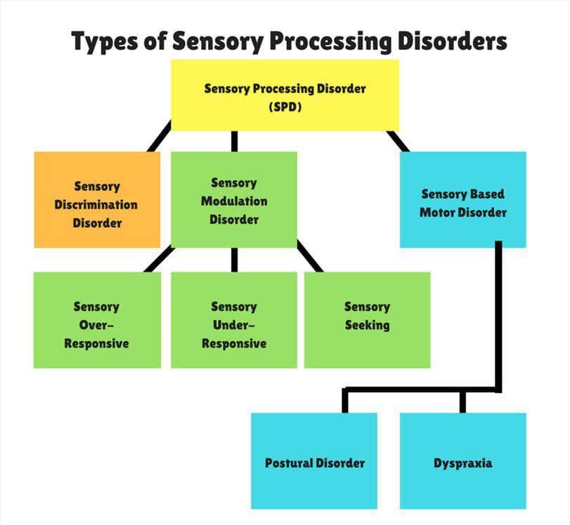 Multi-Sensory-stimulation