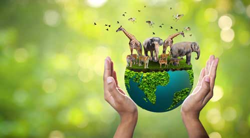 animals humans and the environment together we are one