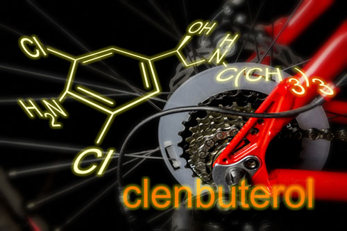 clenbuterol is it the magic bullet for weight reduction