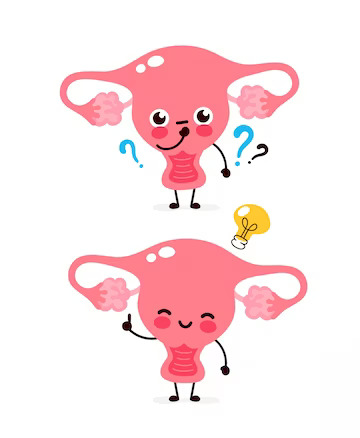 cute uterus with question mark lightbulb character flat cartoon character illustration icon isolated white uterus have idea 92289 585